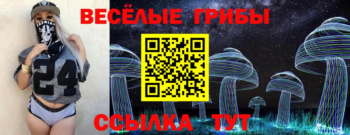 Галлюциногенные грибы Psilocybine cubensis  Вход с VPN  Ивантеевка 